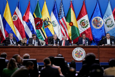 Amerikan Devletleri Örgütü (OAS)
