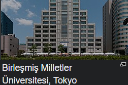 Birleşmiş Milletler Üniversitesi (UNU)