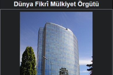 Dünya Fikri Mülkiyet Örgütü (WIPO)